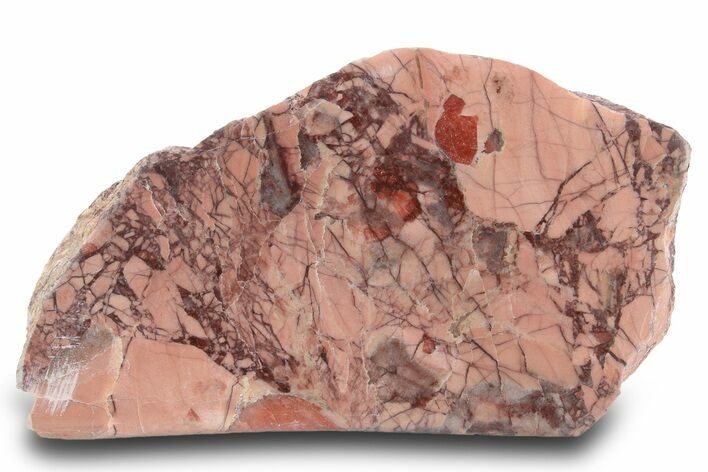 Polished Kona Dolomite Section - Michigan #299946
